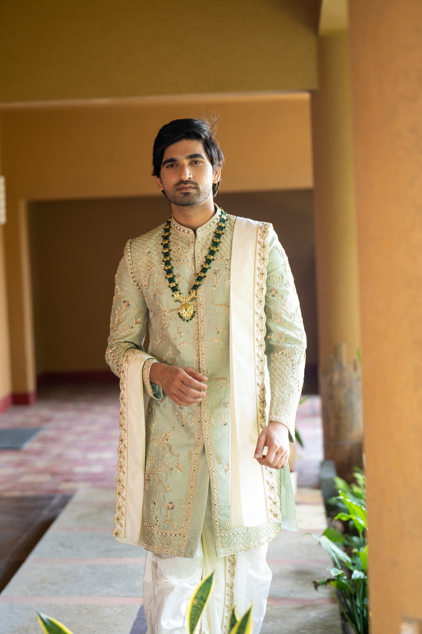 Prince Sage sherwani